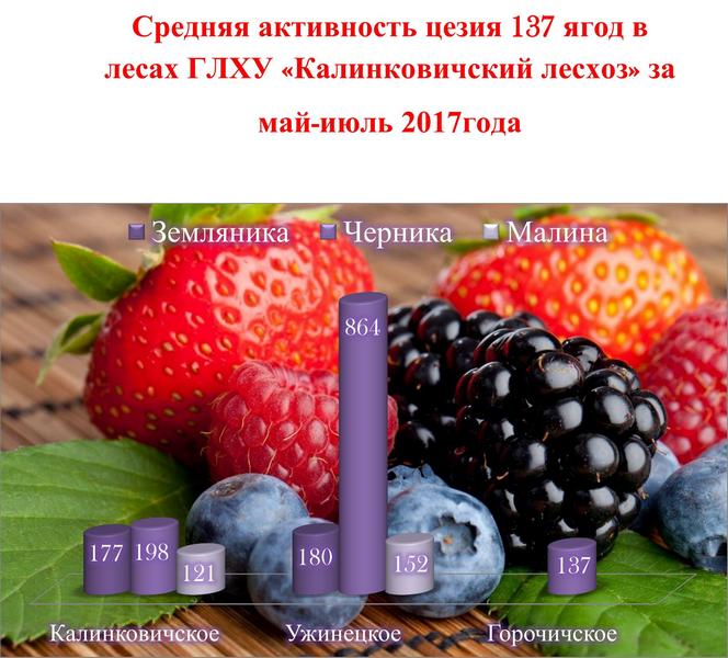 Средняя активность цезия 137 ягод в лесах ГЛХУ 01