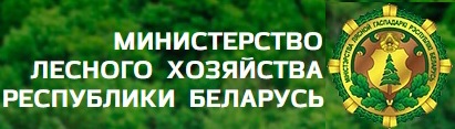 Министерство лесного хозяйства РБ