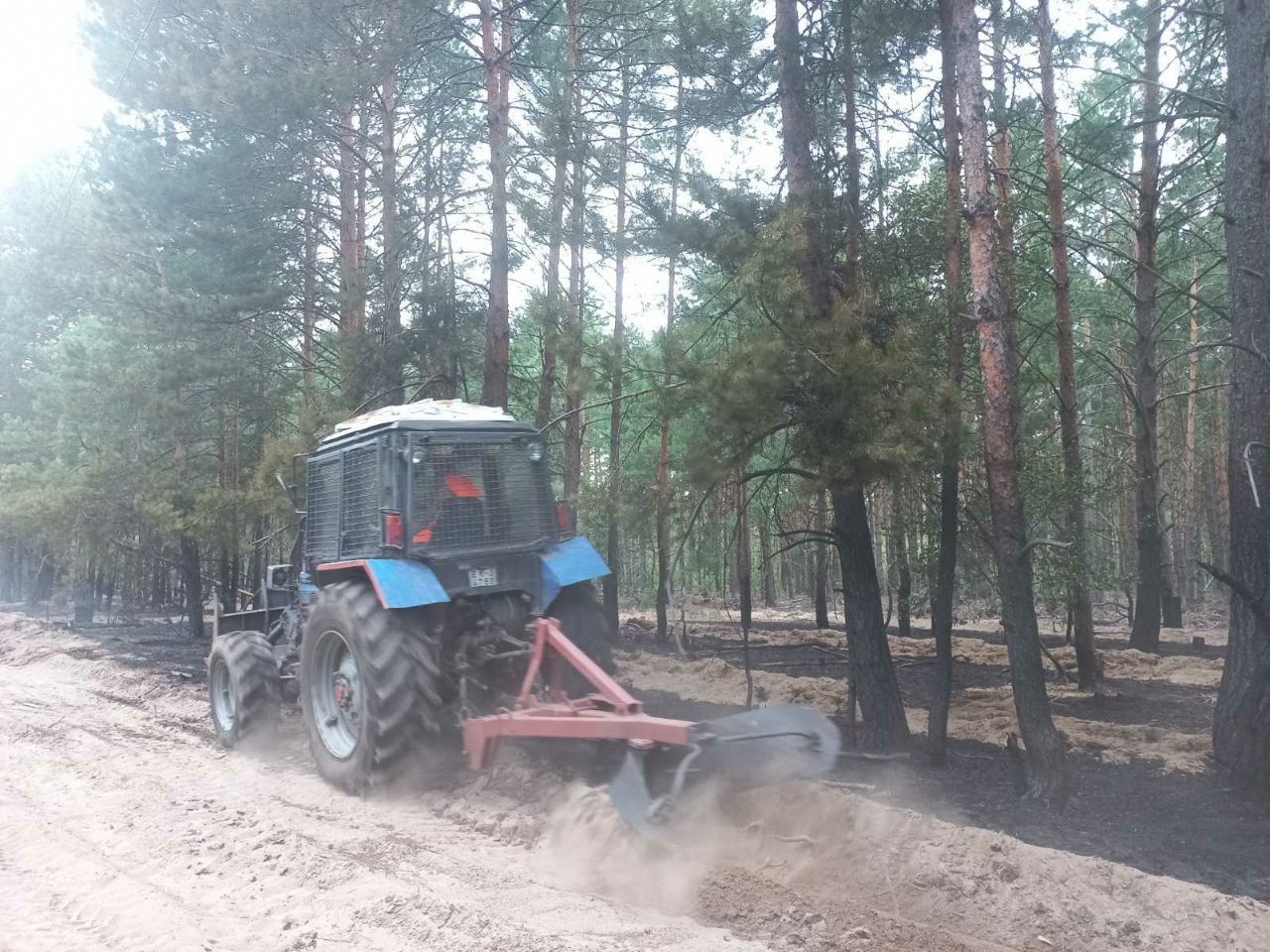 photo 2024 08 12 13 49 51