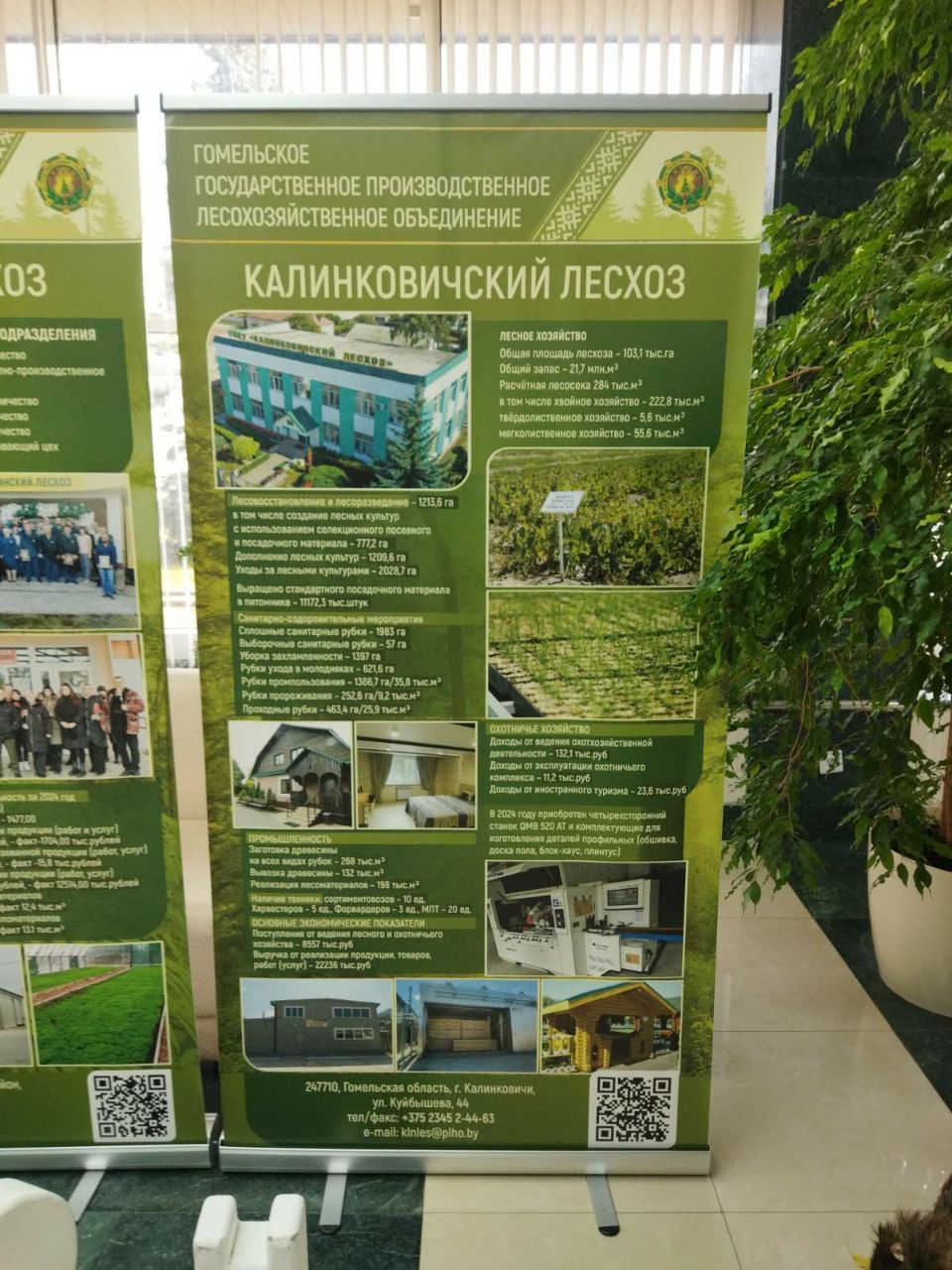 photo 2025 03 15 15 54 22
