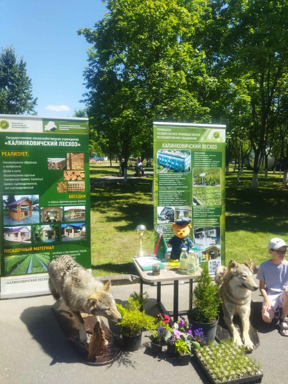 photo 2025 07 07 08 20 11