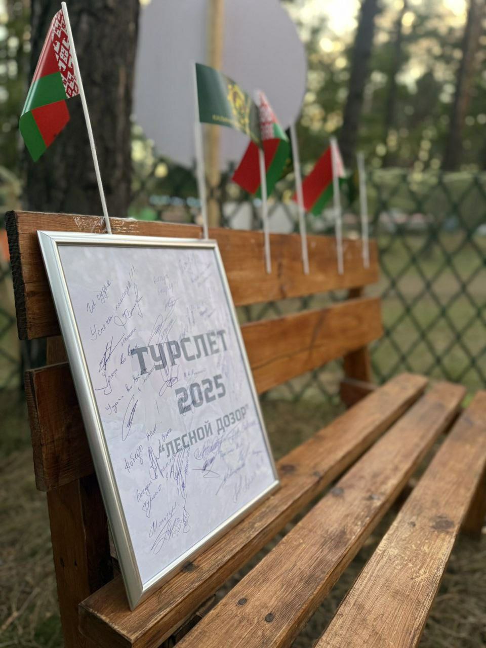 photo 2025 07 17 10 19 52