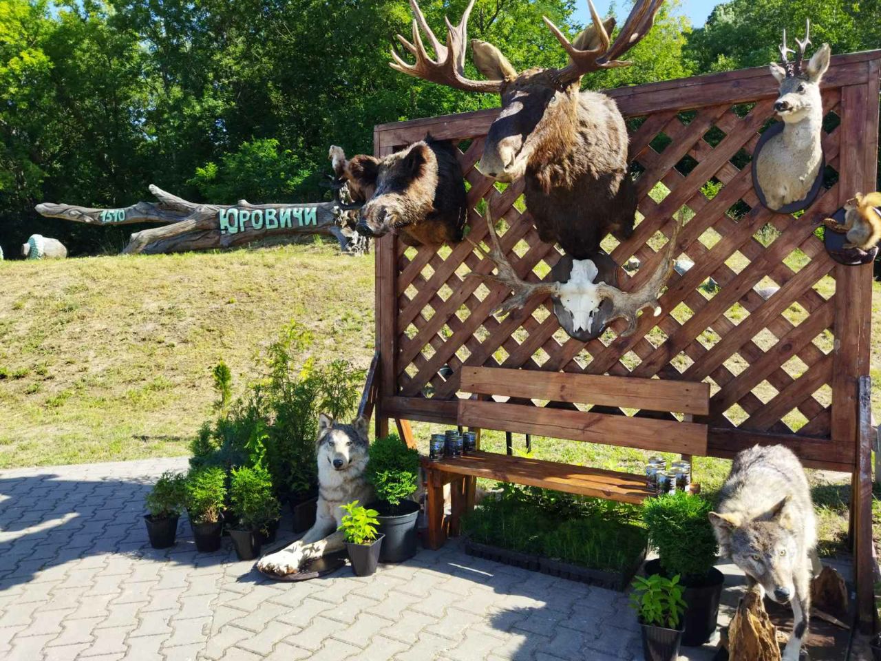 photo 2025 08 17 15 31 33