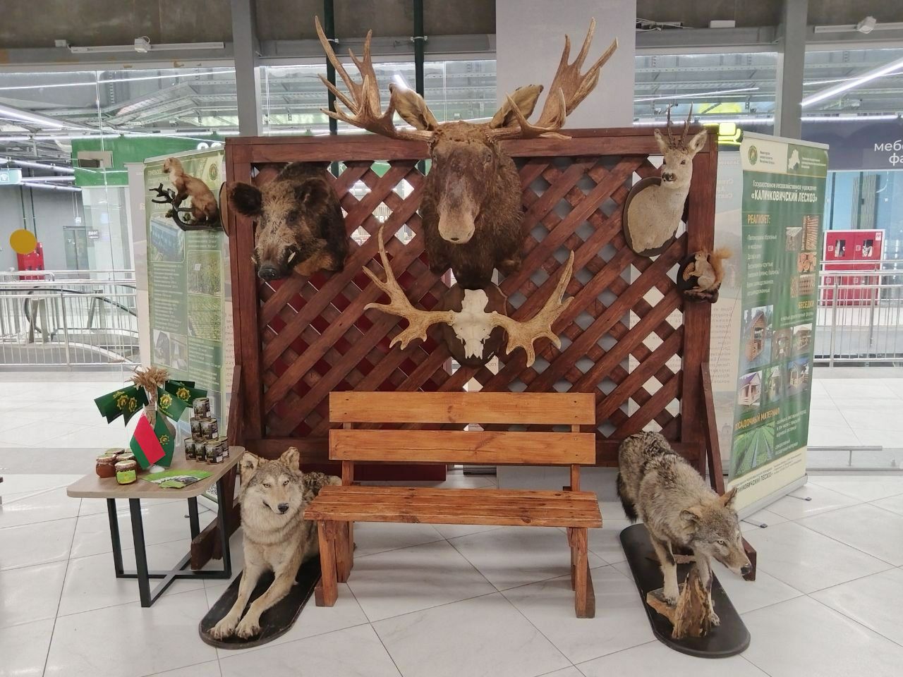 photo 2025 09 04 08 07 45