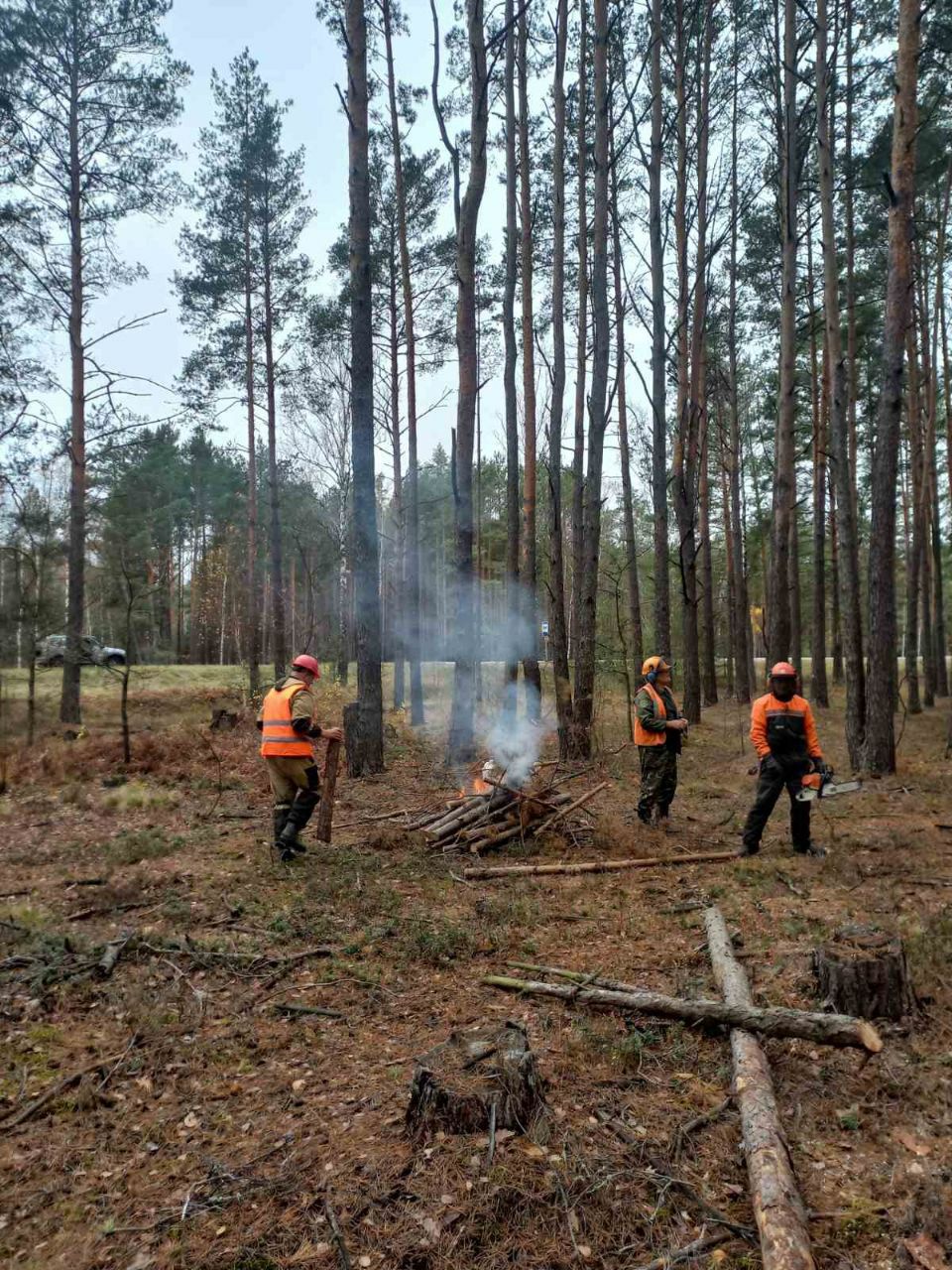 photo 2025 11 04 11 03 39