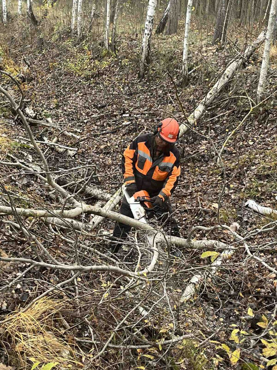 photo 2025 11 04 11 03 49