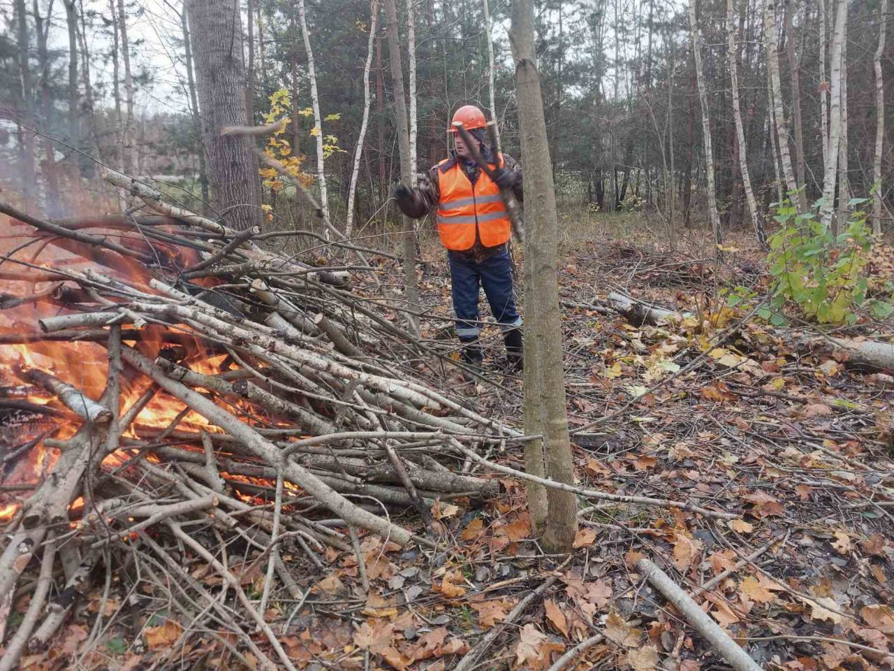 photo 2025 11 04 11 03 56