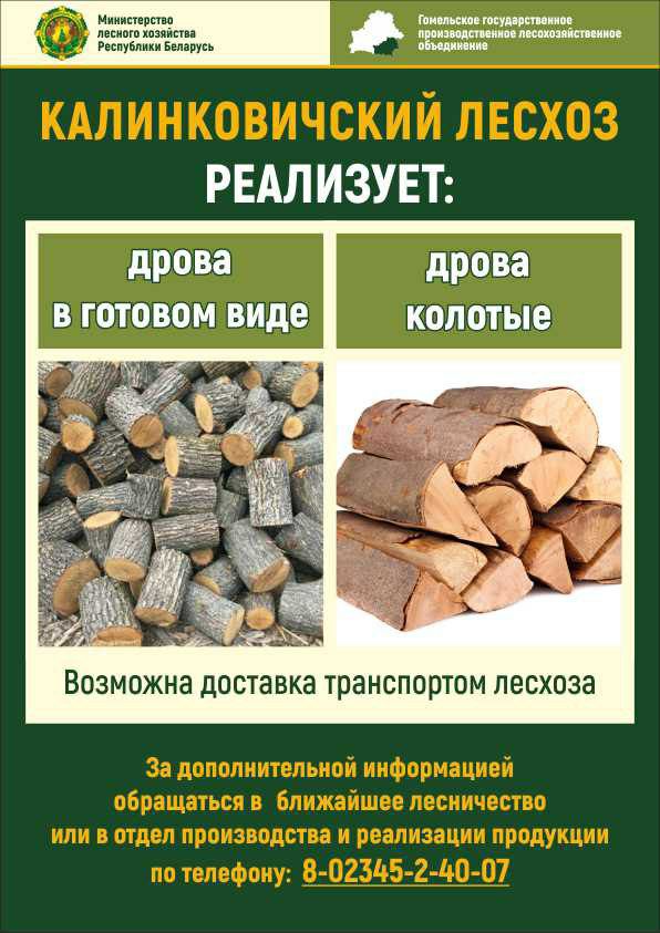 photo 2025 11 06 13 23 19