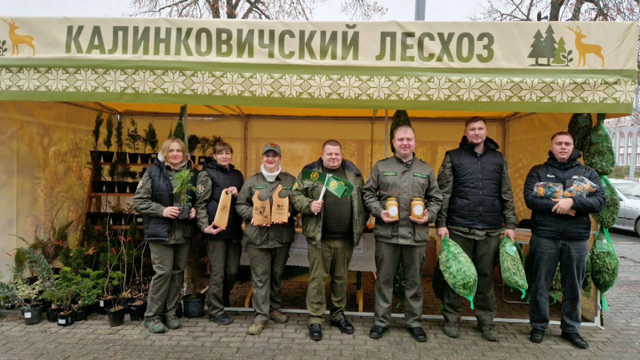 photo 2025 11 18 09 29 05