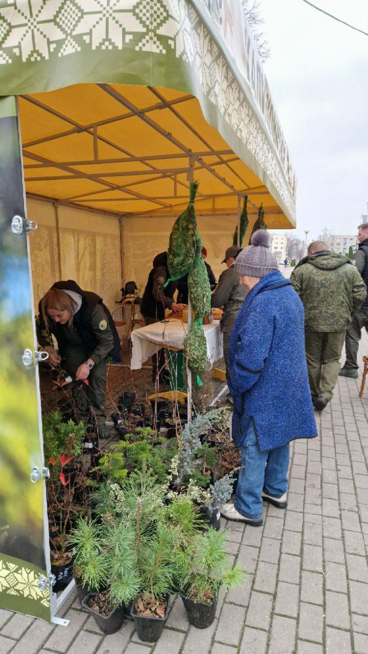 photo 2025 11 18 09 29 32