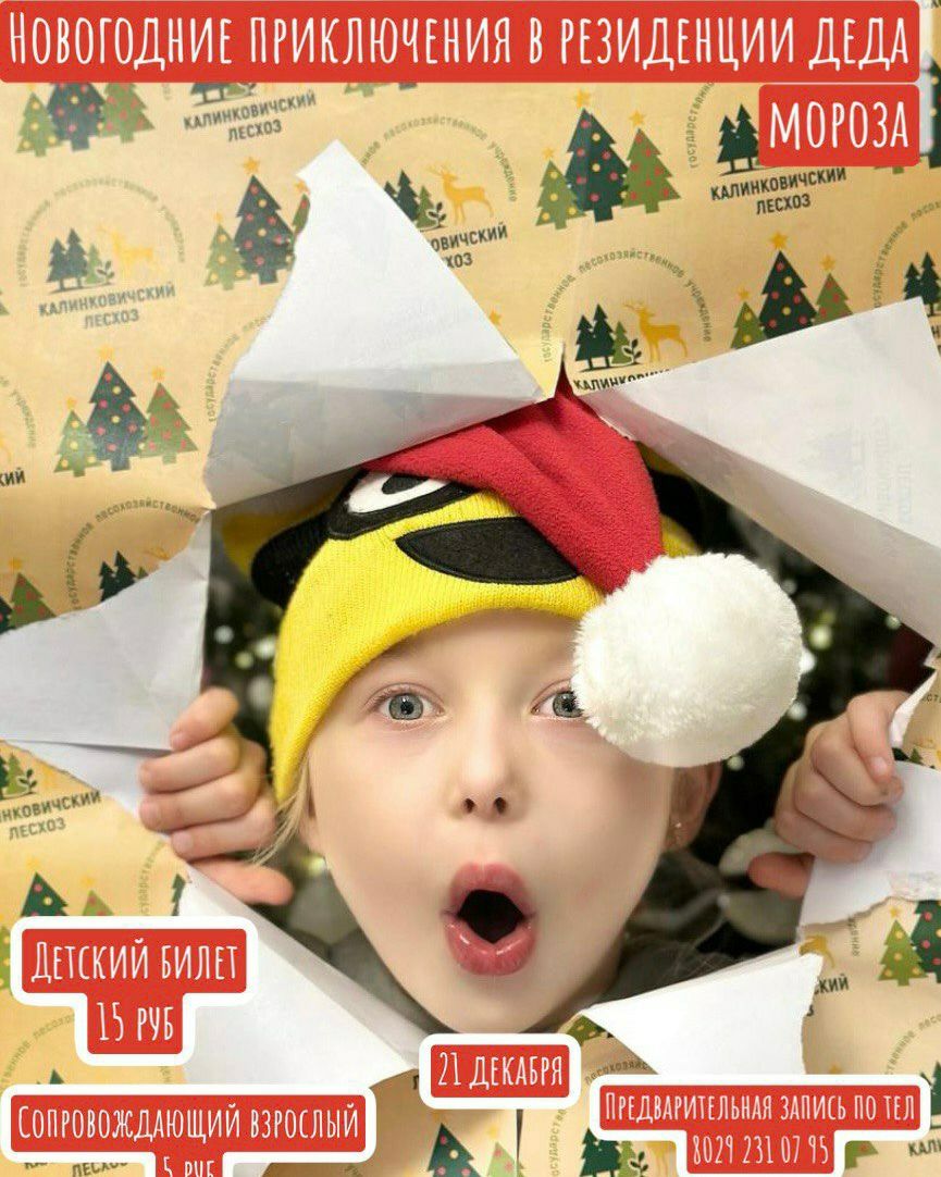 photo 2025 12 18 15 39 54