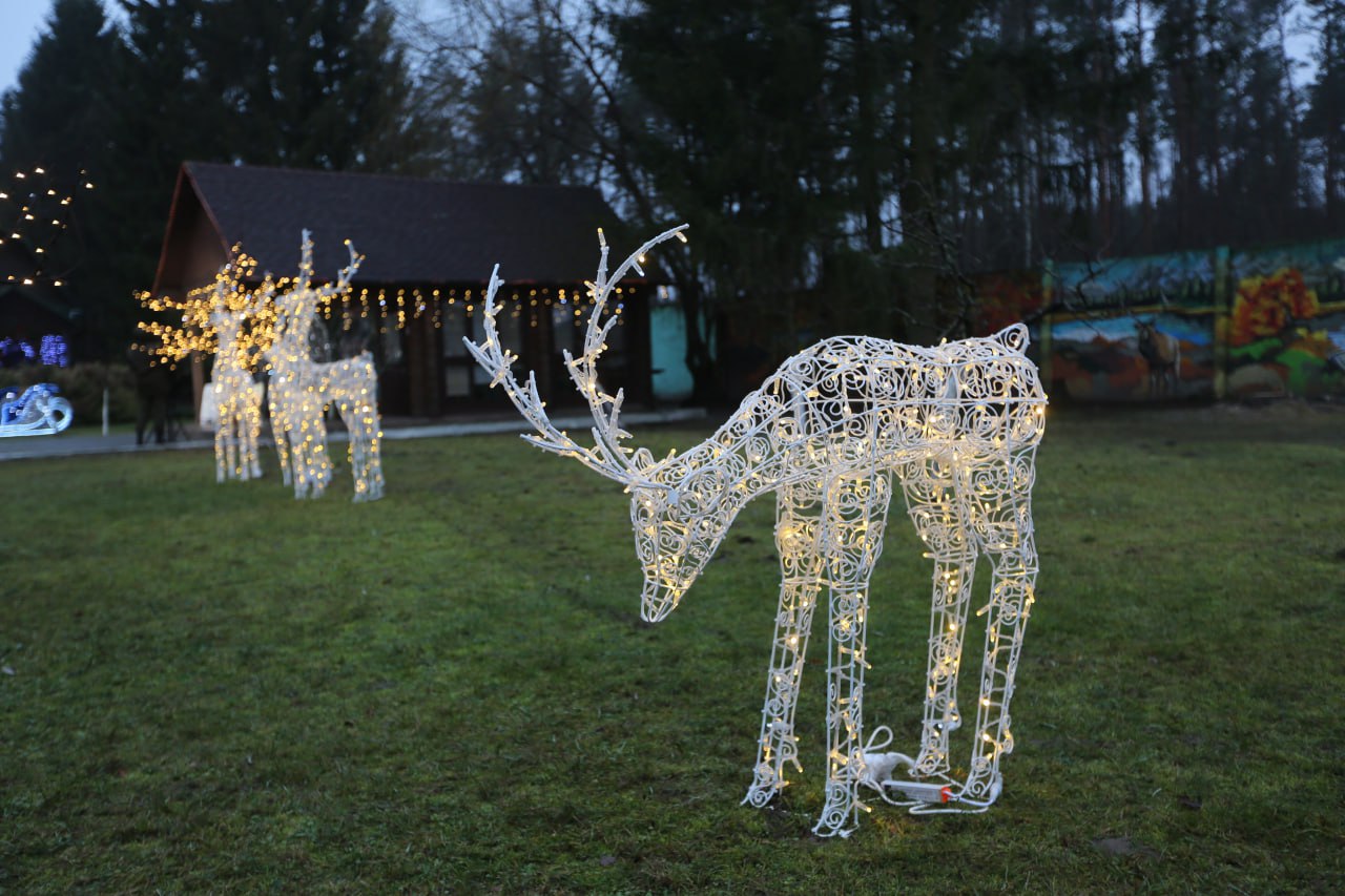 photo 2025 12 23 09 35 57