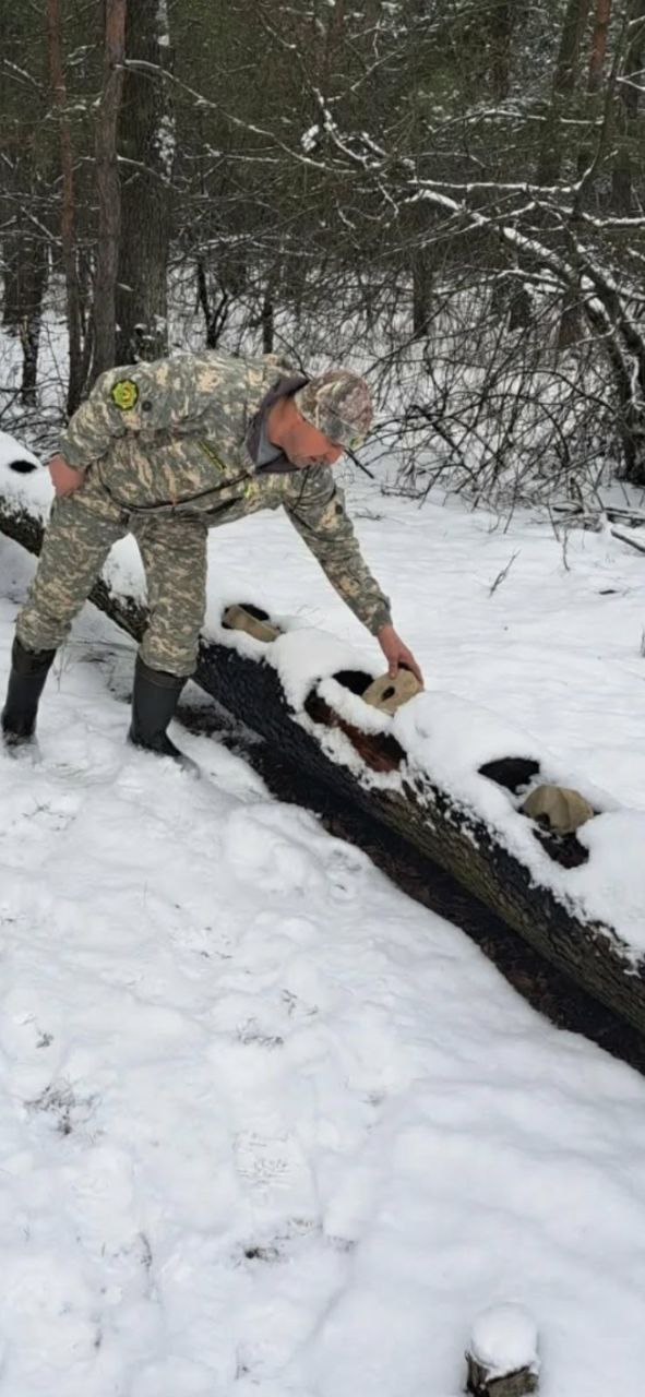 photo 2026 01 08 13 51 50