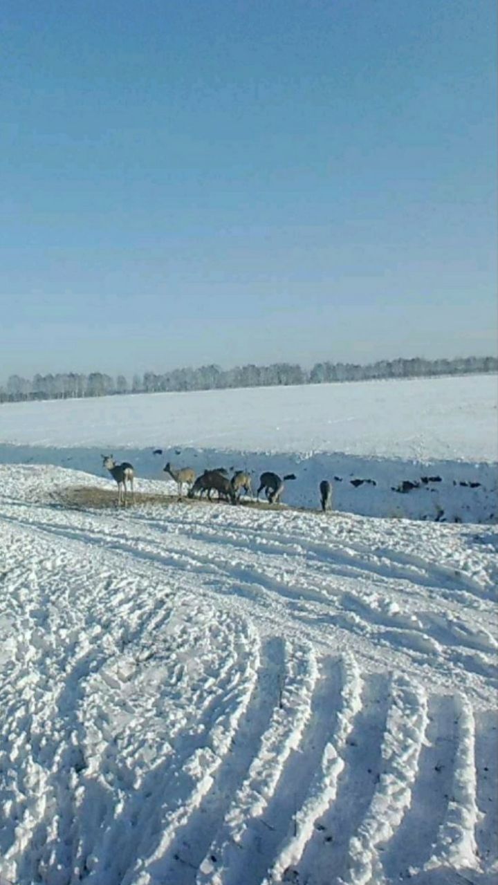 photo 2026 01 08 13 51 53