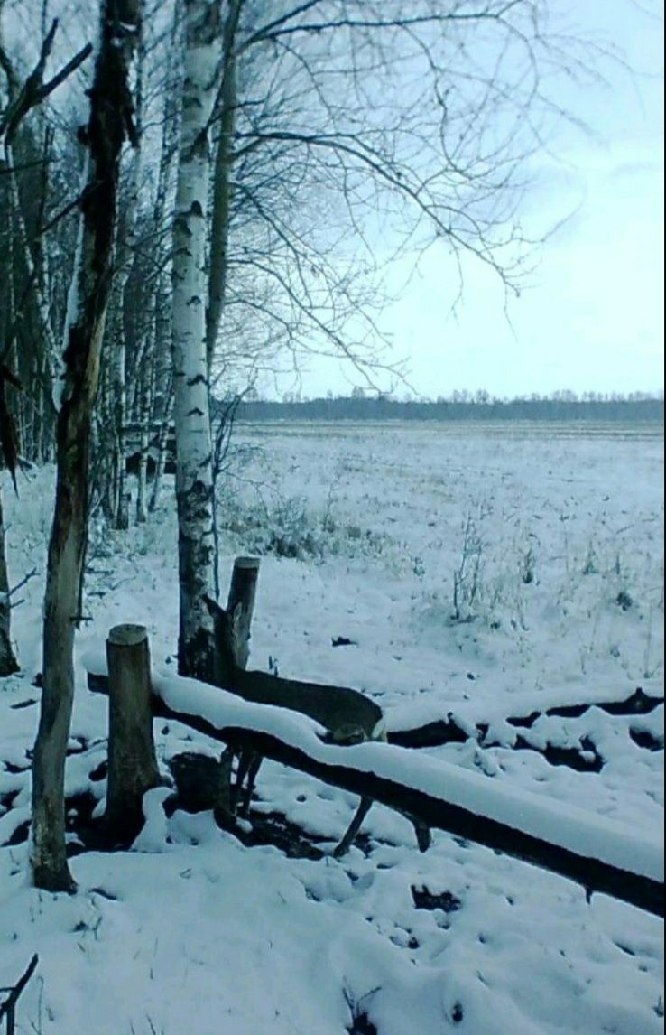 photo 2026 01 08 13 51 55