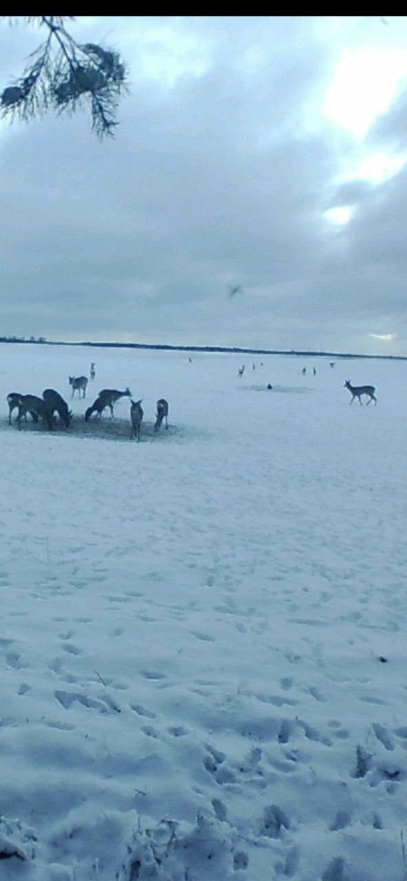 photo 2026 01 08 13 51 58