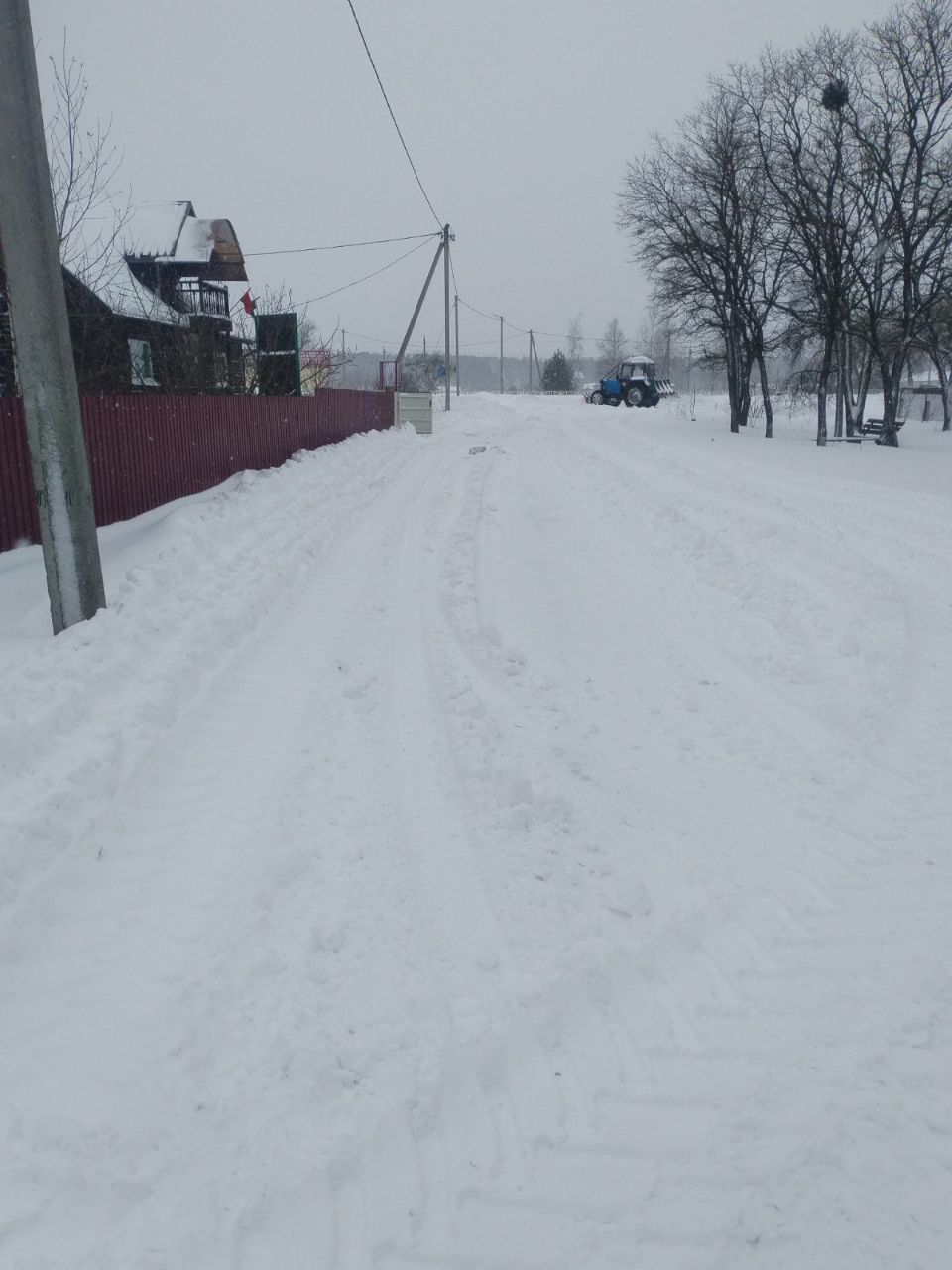 photo 2026 01 13 08 35 51