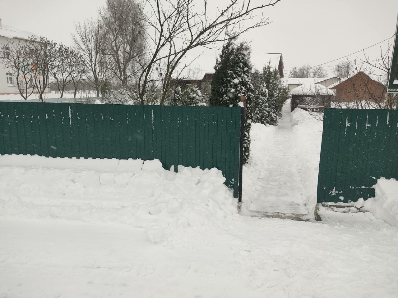 photo 2026 01 13 08 35 54