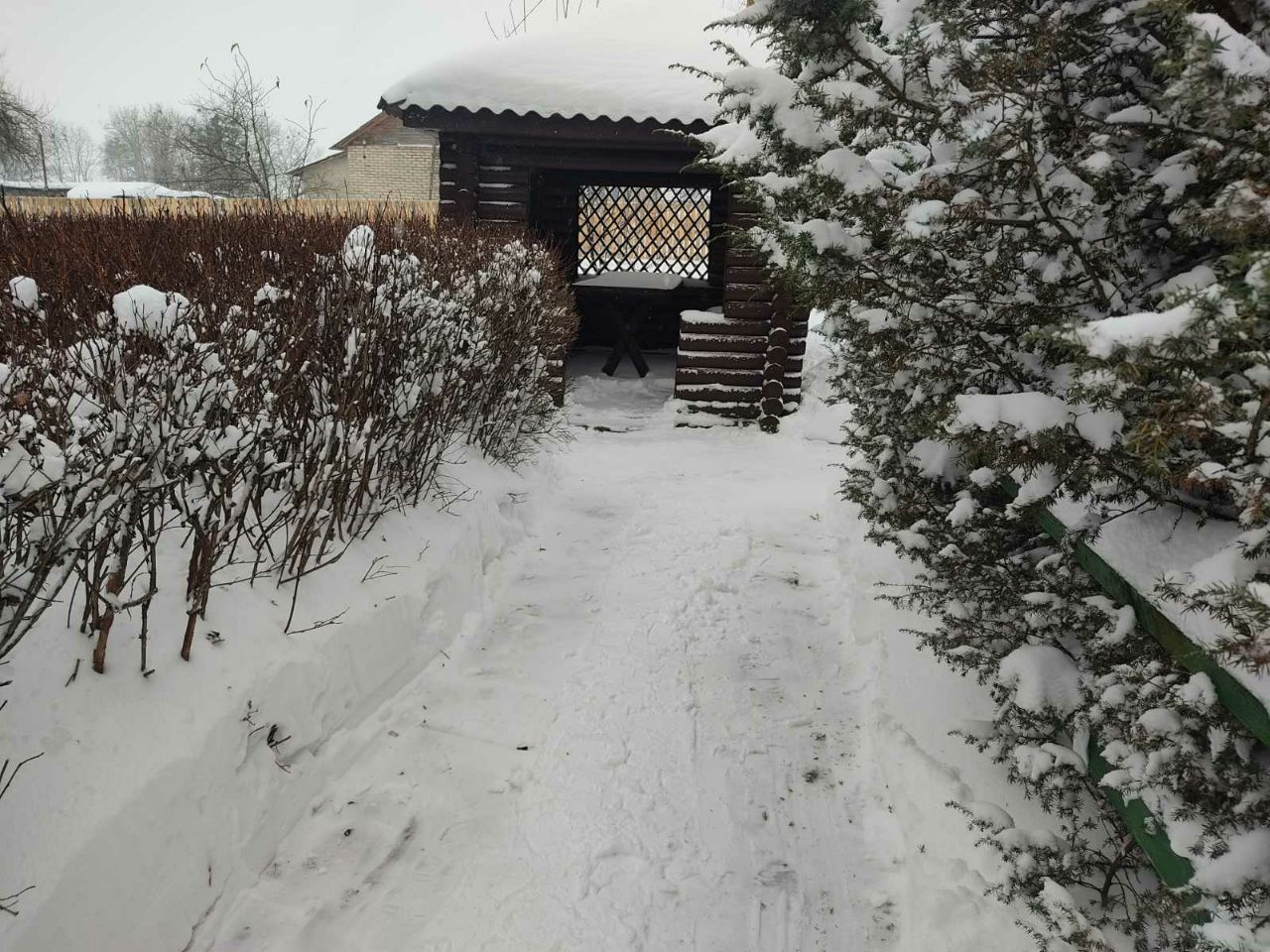 photo 2026 01 13 08 35 57