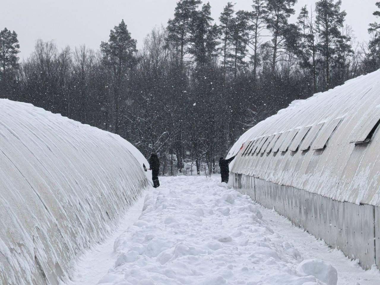 photo 2026 01 13 08 36 01