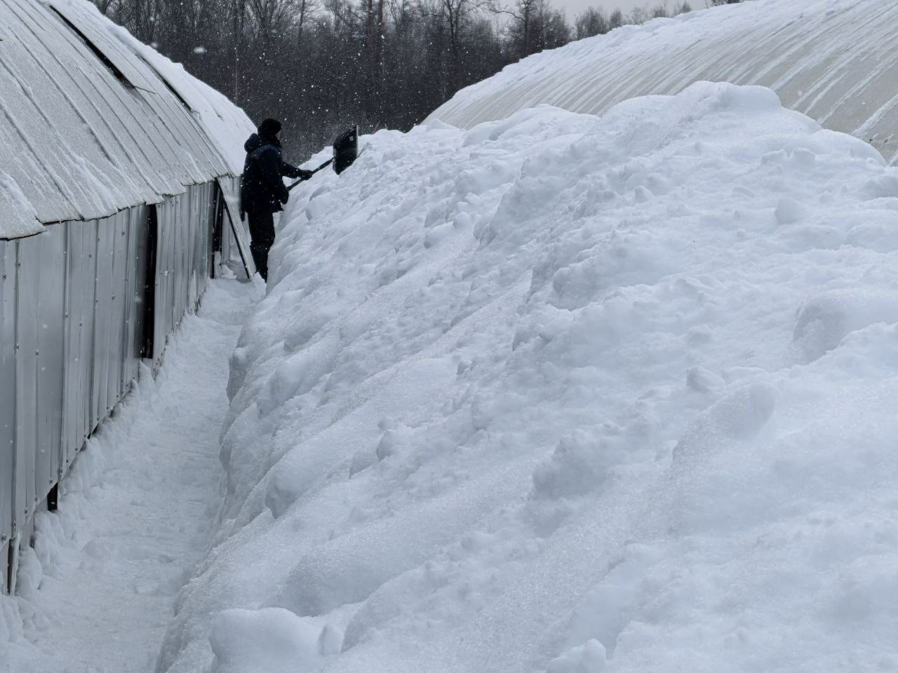 photo 2026 01 13 08 36 04