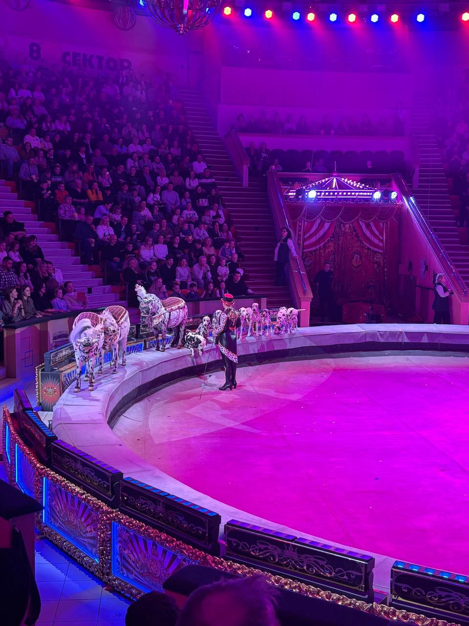 photo 2026 01 13 08 59 57