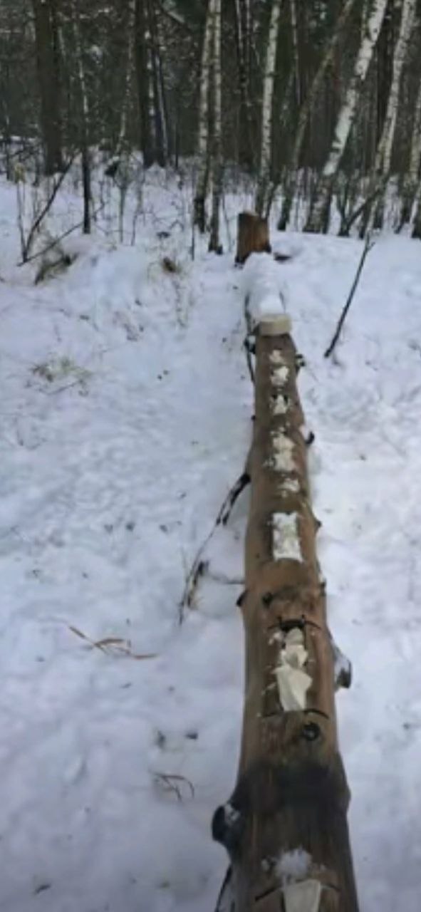 photo 2026 01 20 09 47 44