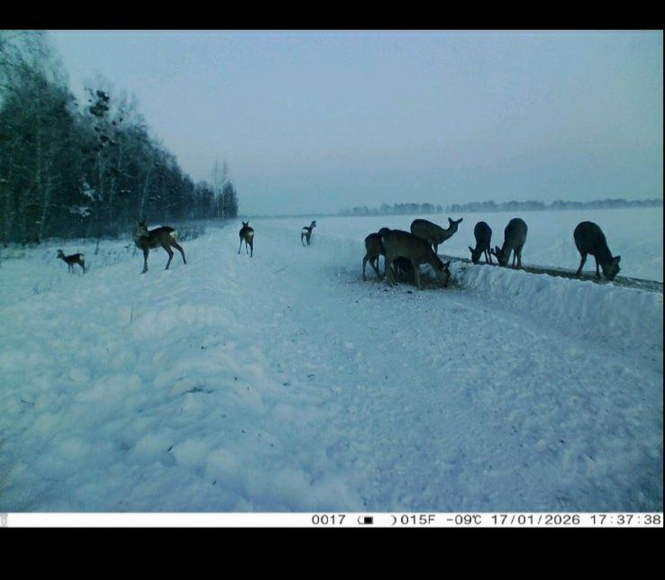 photo 2026 01 20 09 47 55