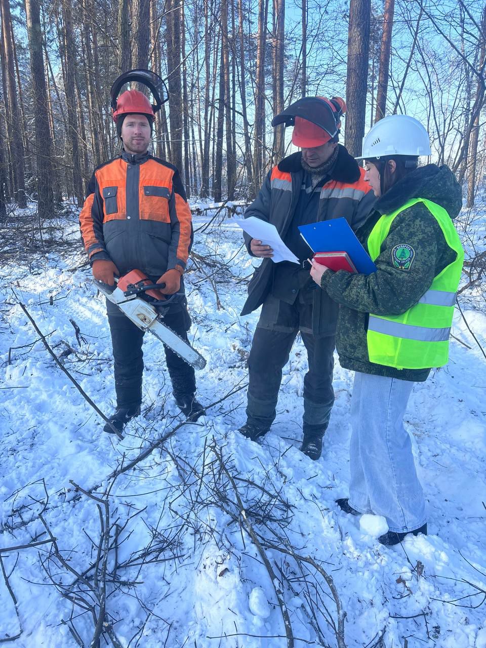 photo 2026 01 23 07 52 47