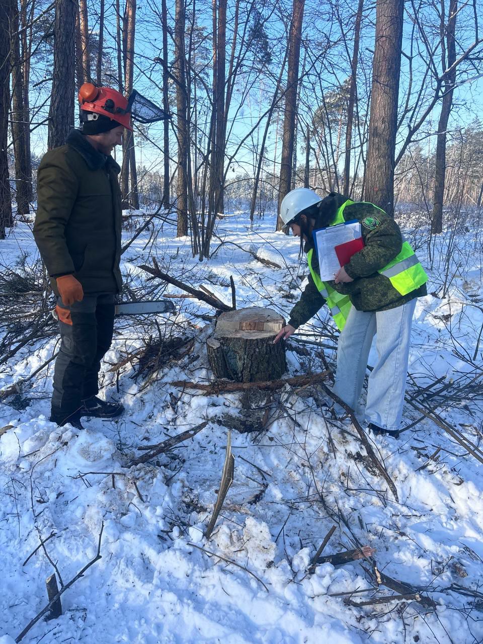 photo 2026 01 23 07 52 56