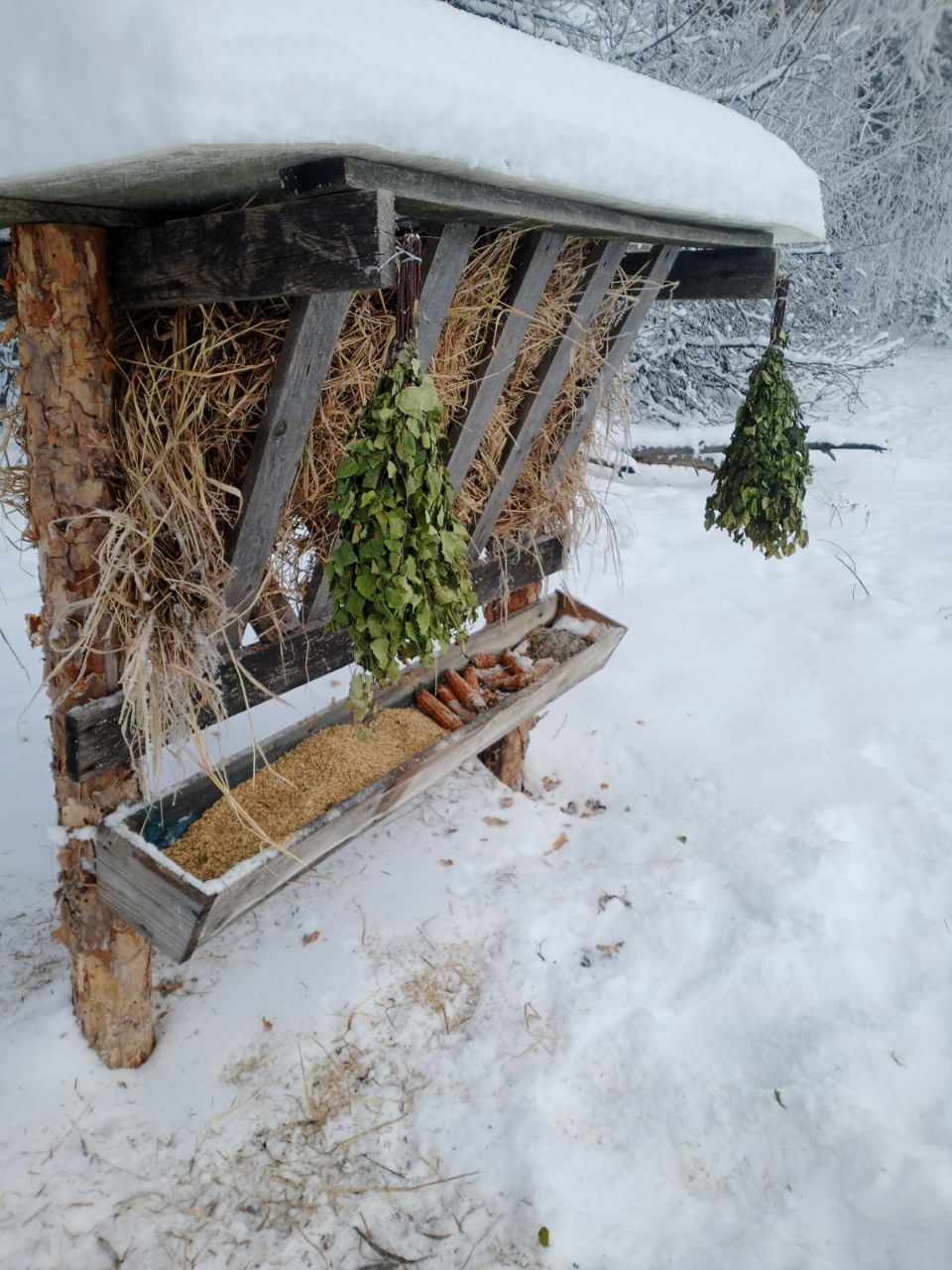 photo 2026 02 02 09 53 27