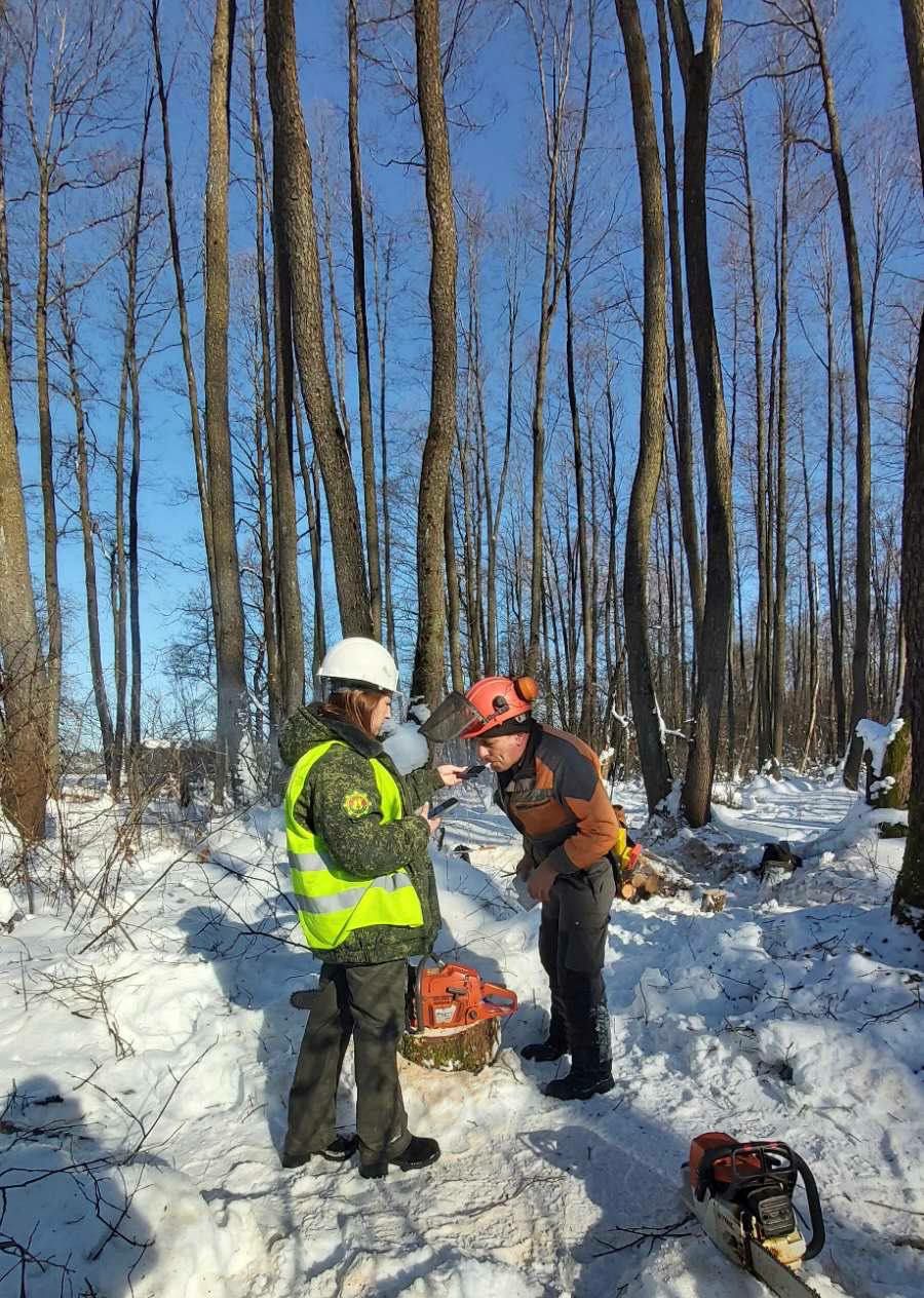 photo 2026 02 11 08 14 28