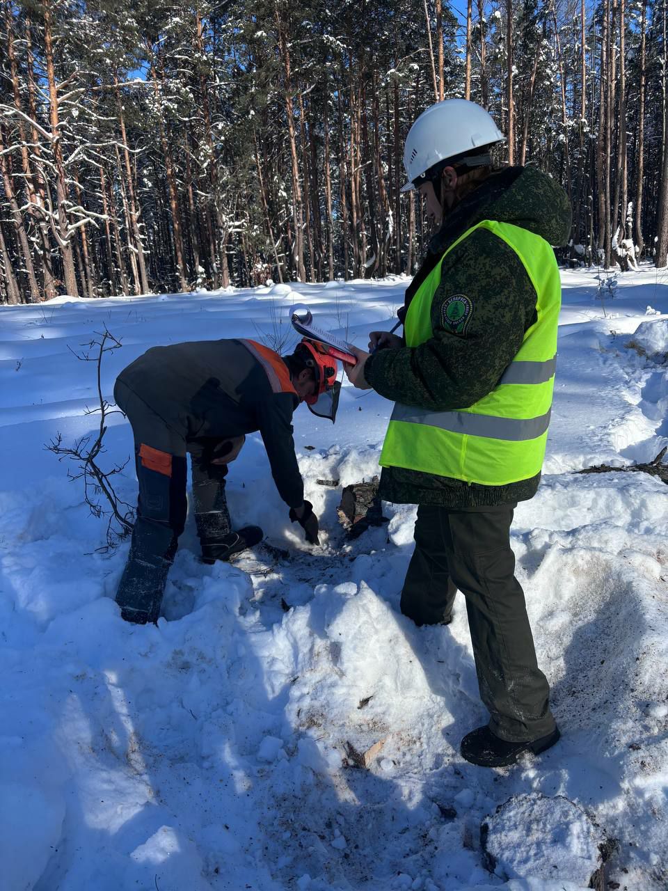 photo 2026 02 11 08 14 37