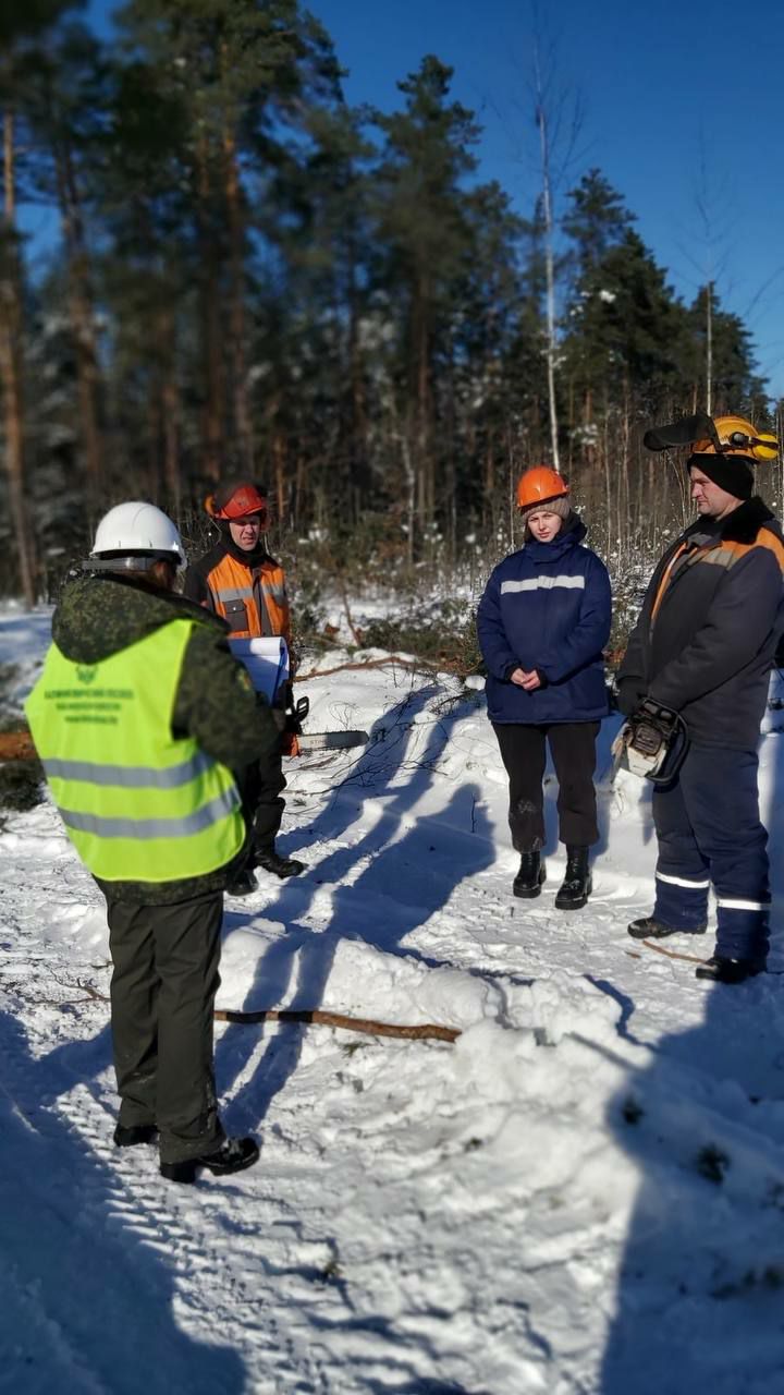 photo 2026 02 11 08 14 43