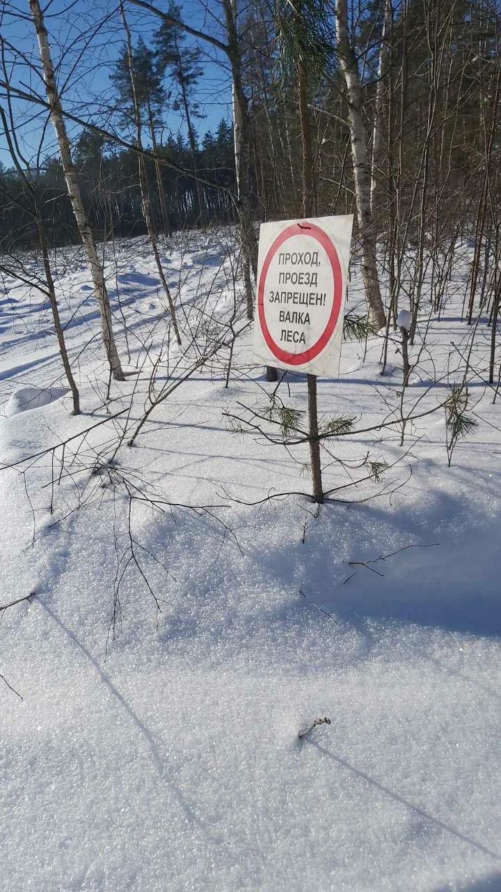 photo 2026 02 11 08 14 51