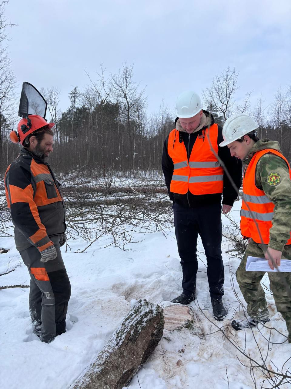 photo 2026 02 12 12 24 40