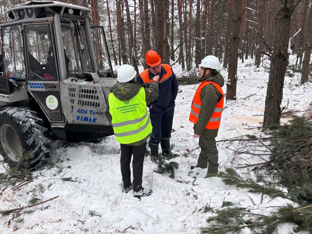 photo 2026 02 12 12 25 21