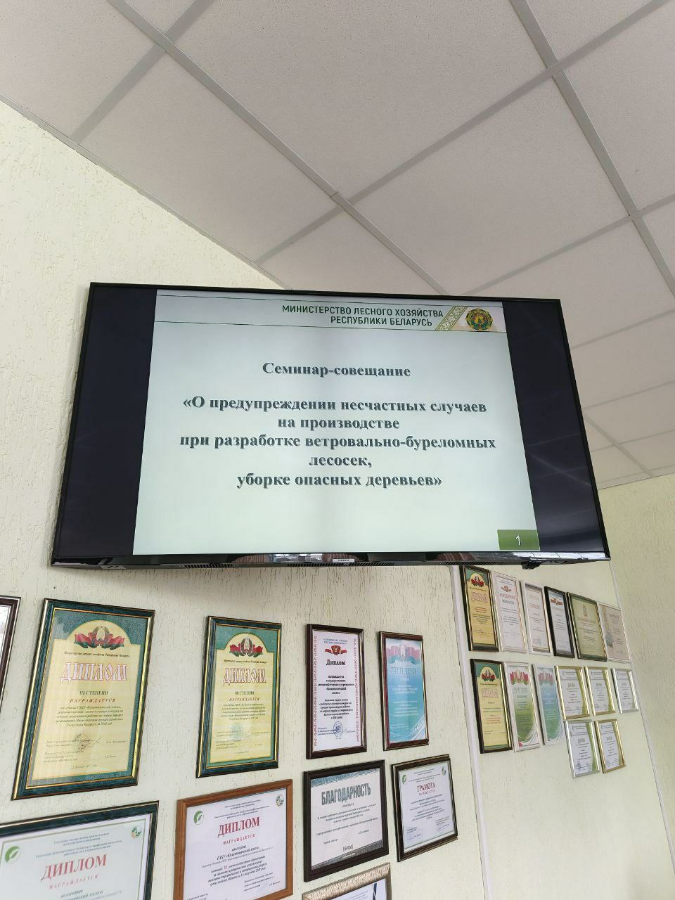 photo 2026 02 12 12 35 27