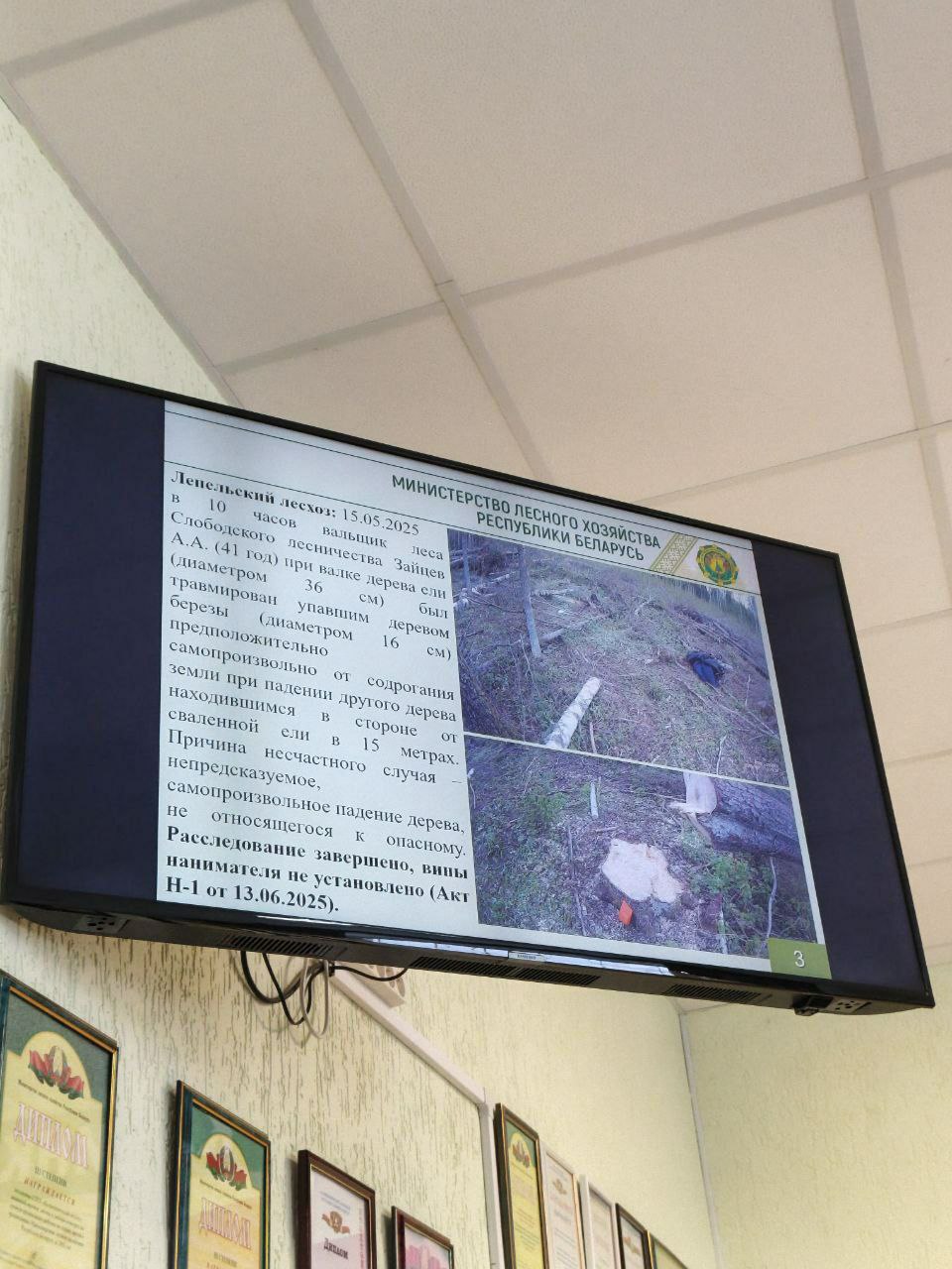 photo 2026 02 12 12 35 33