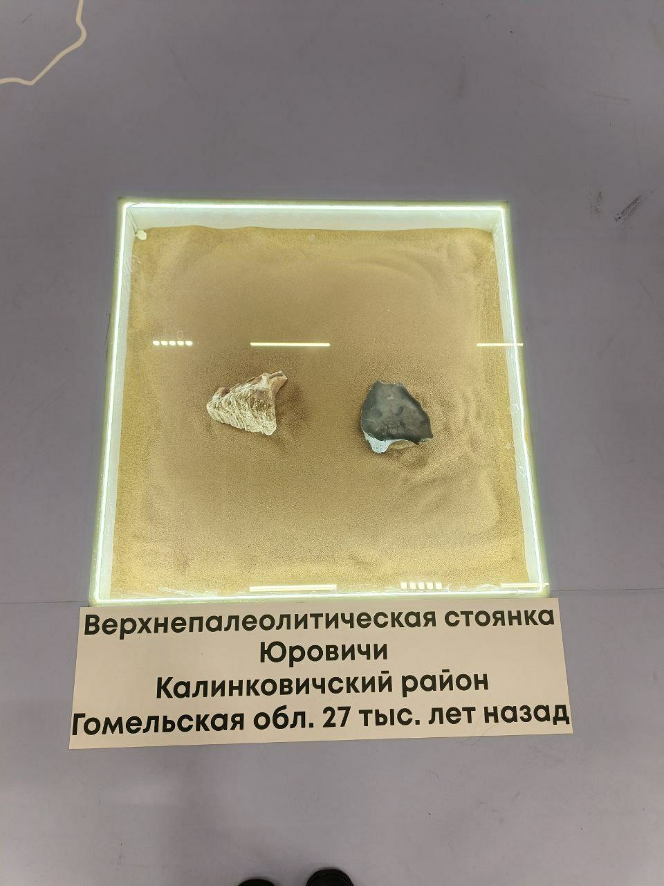 photo 2026 02 16 08 35 59