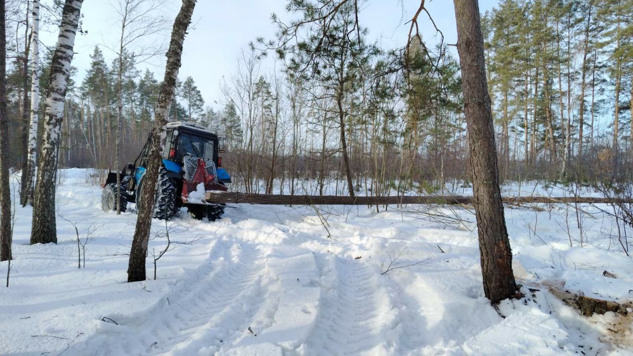 photo 2026 03 02 08 32 18