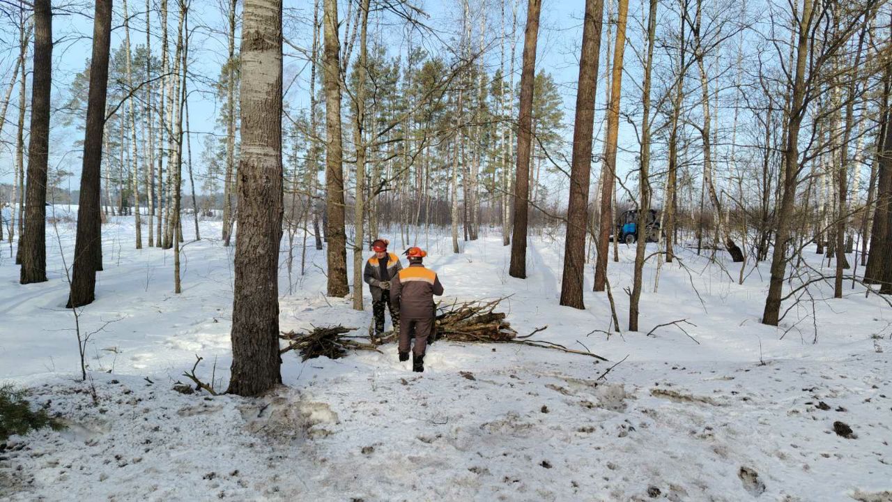 photo 2026 03 02 08 32 21