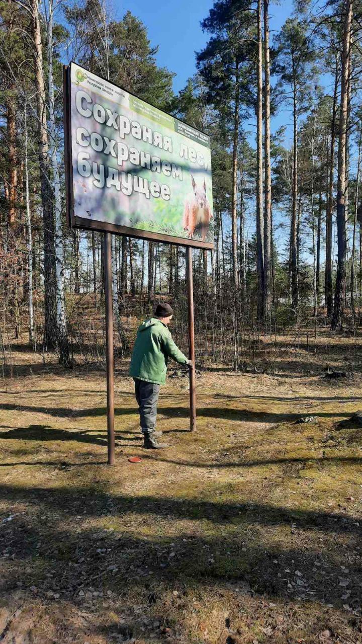 photo 2026 03 12 19 28 06