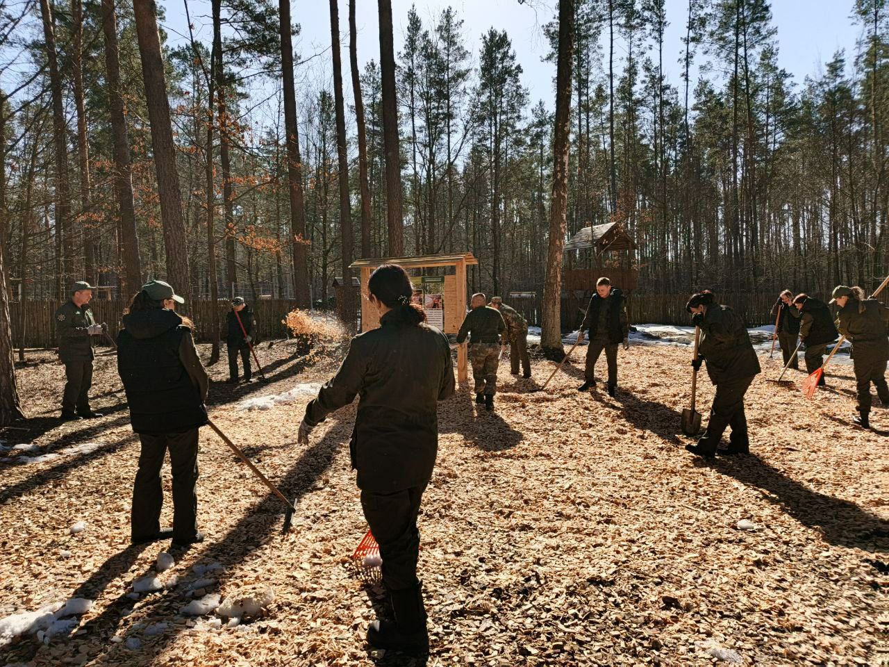 photo 2026 03 16 12 03 46