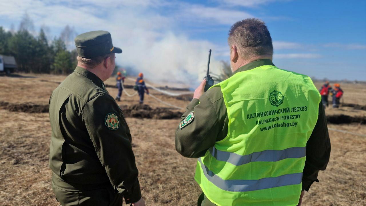 photo 2026 03 19 18 04 05