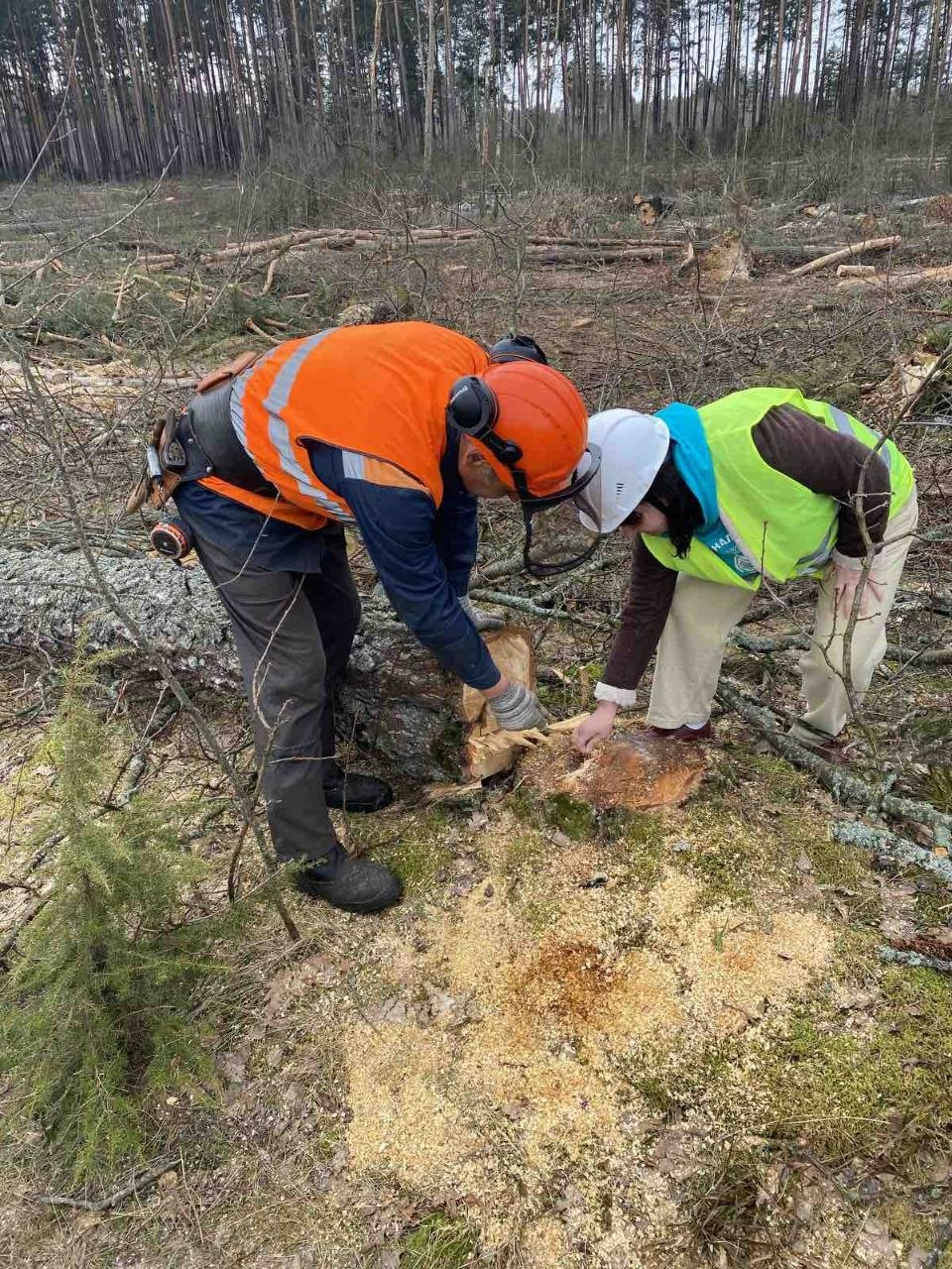 photo 2026 03 23 13 38 40