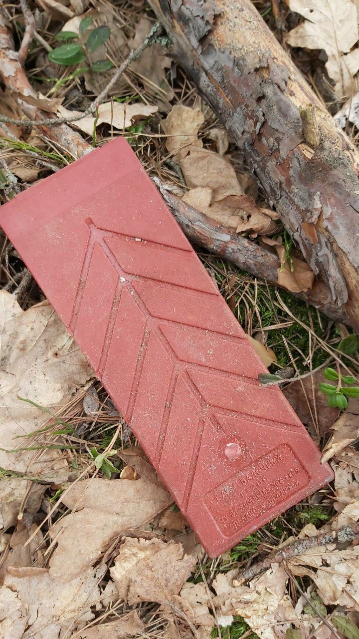 photo 2026 03 23 13 38 51