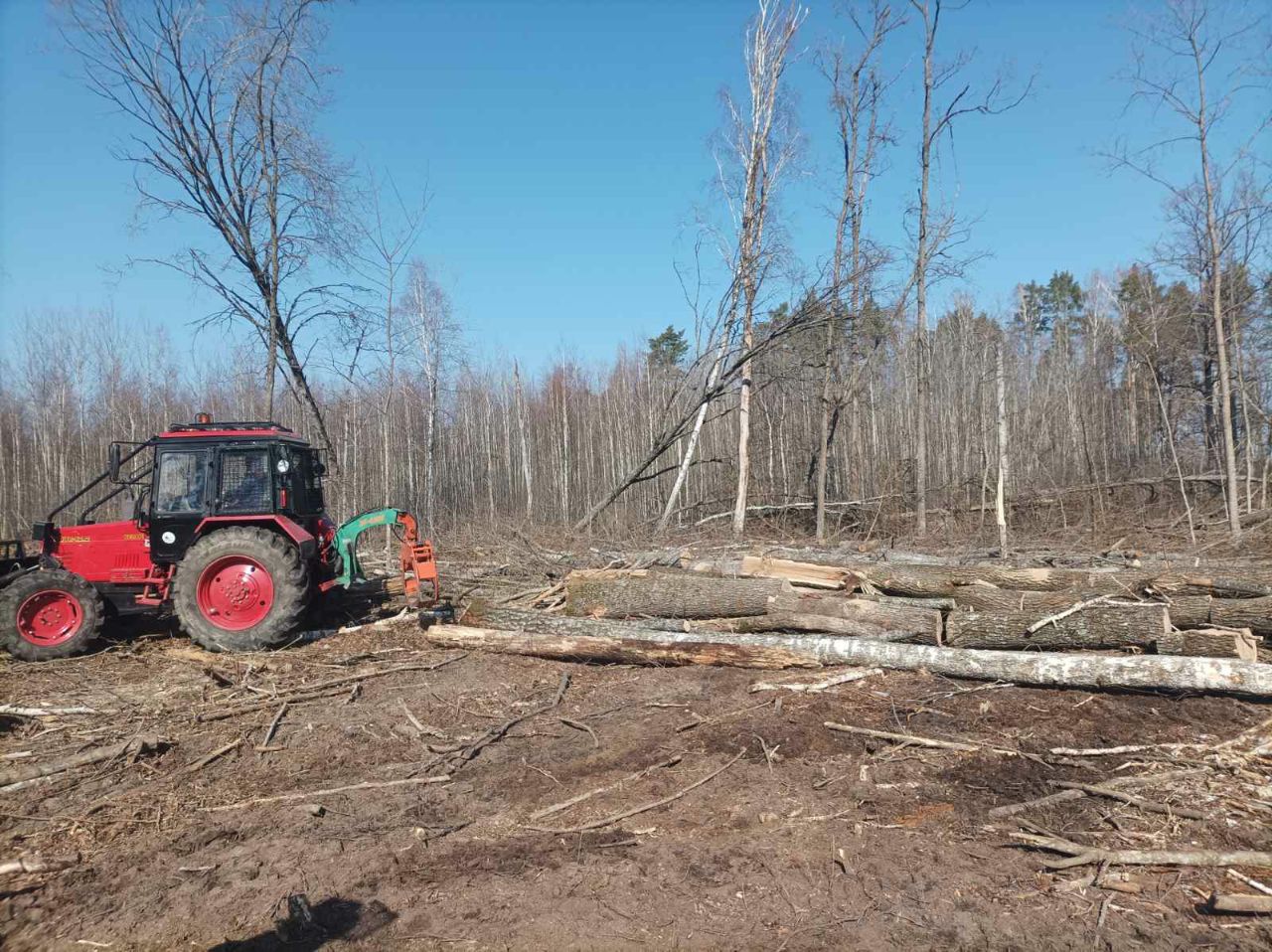 photo 2026 03 23 14 31 42