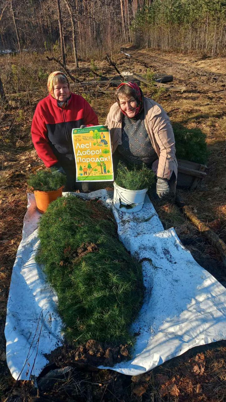 photo 2026 03 23 14 32 32