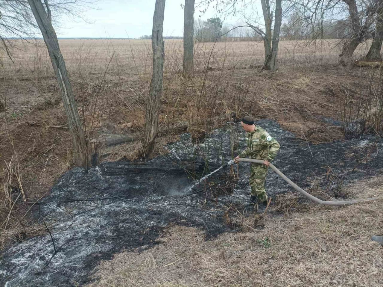 photo 2026 03 25 08 26 25